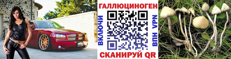 Галлюциногенные грибы MAGIC MUSHROOMS  Судак 